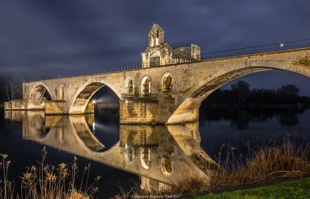 Avignon pont