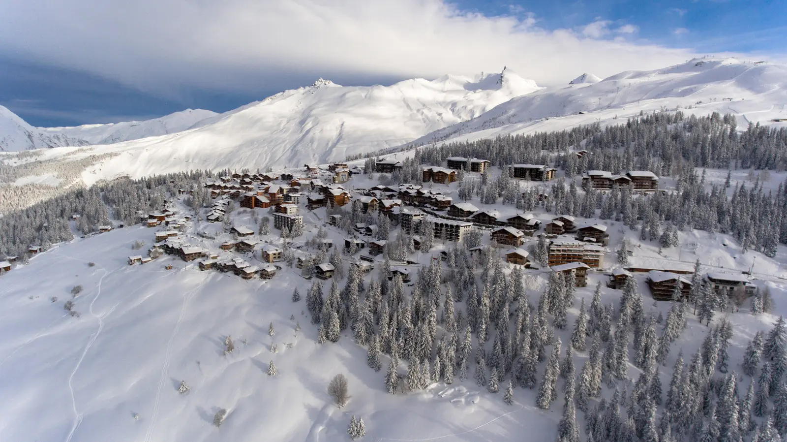 La rosiere