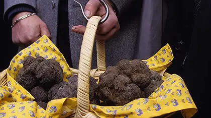 Truffes